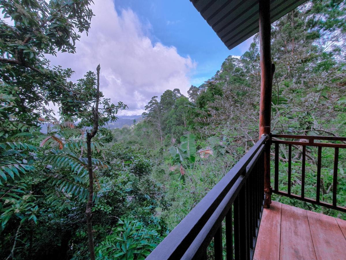 Serene Homestay Ella Extérieur photo