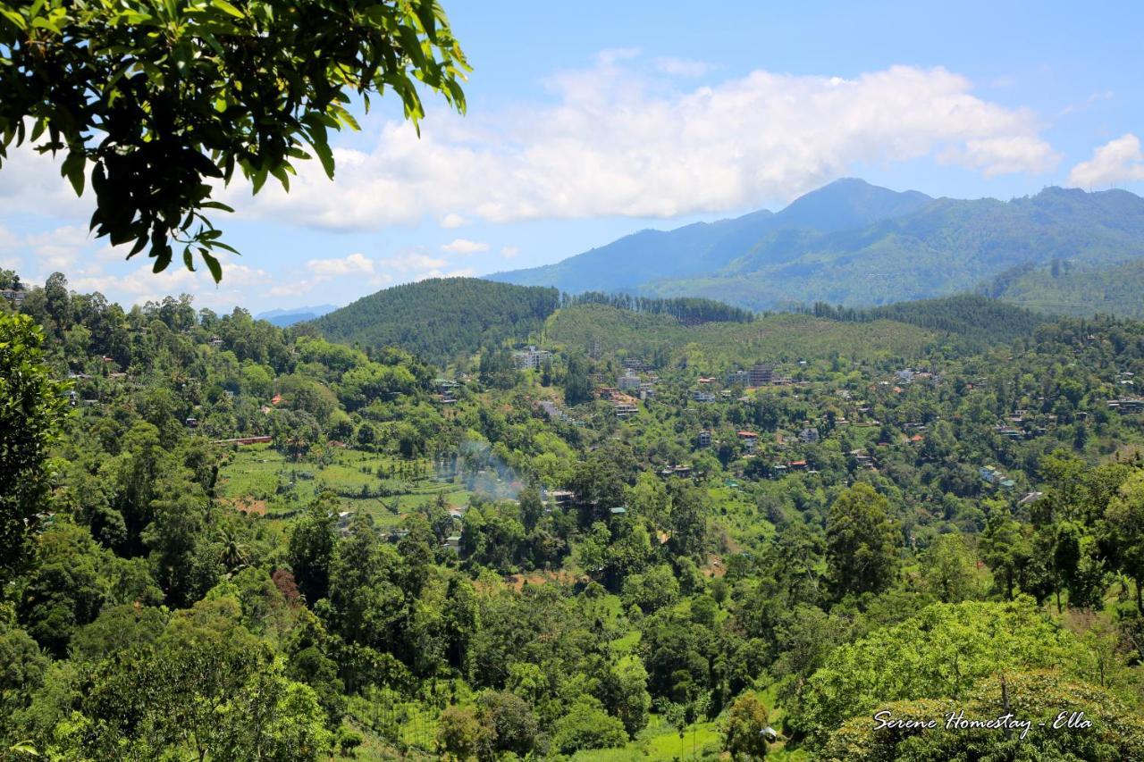 Serene Homestay Ella Extérieur photo