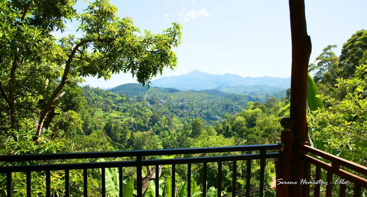 Serene Homestay Ella Extérieur photo
