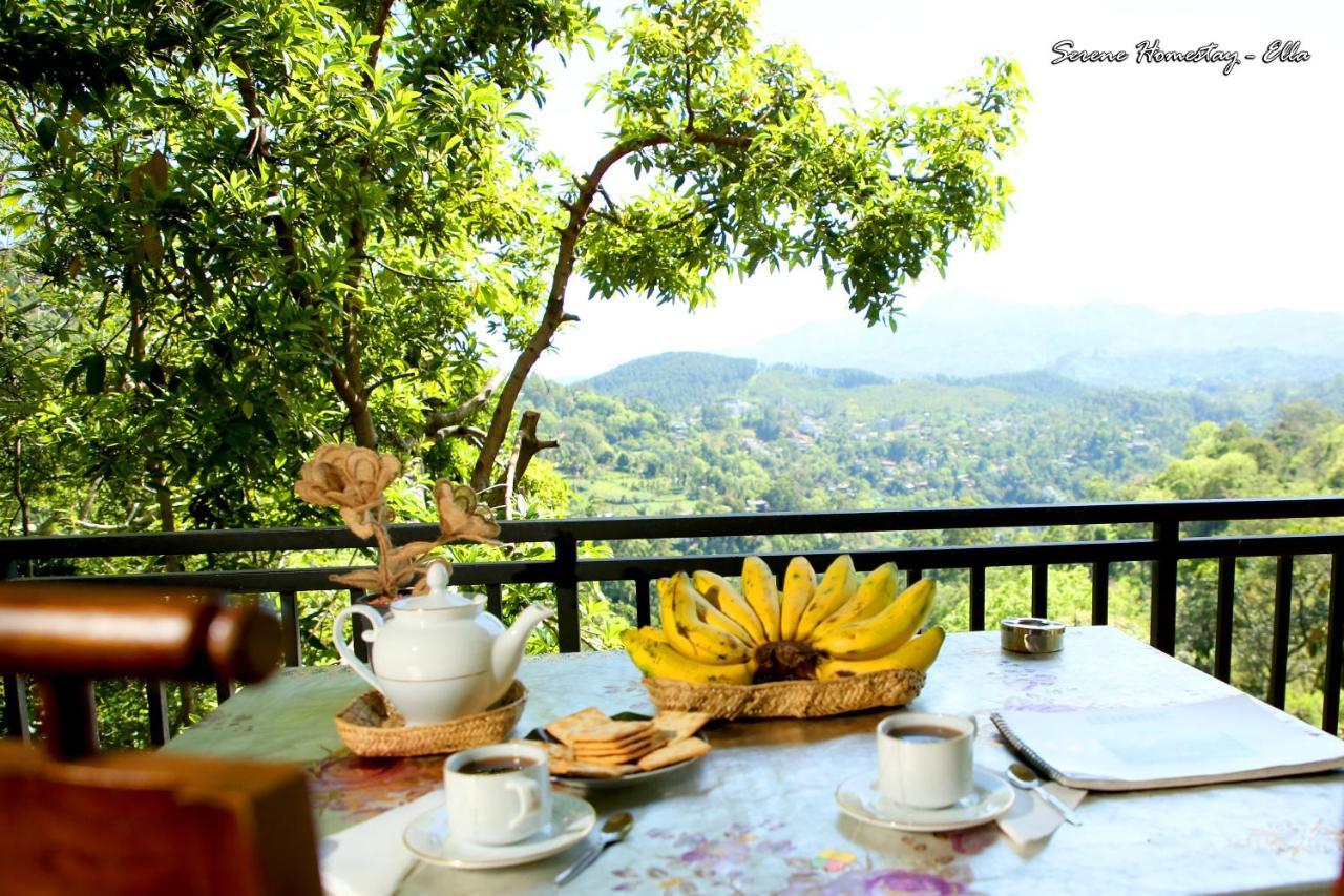 Serene Homestay Ella Extérieur photo