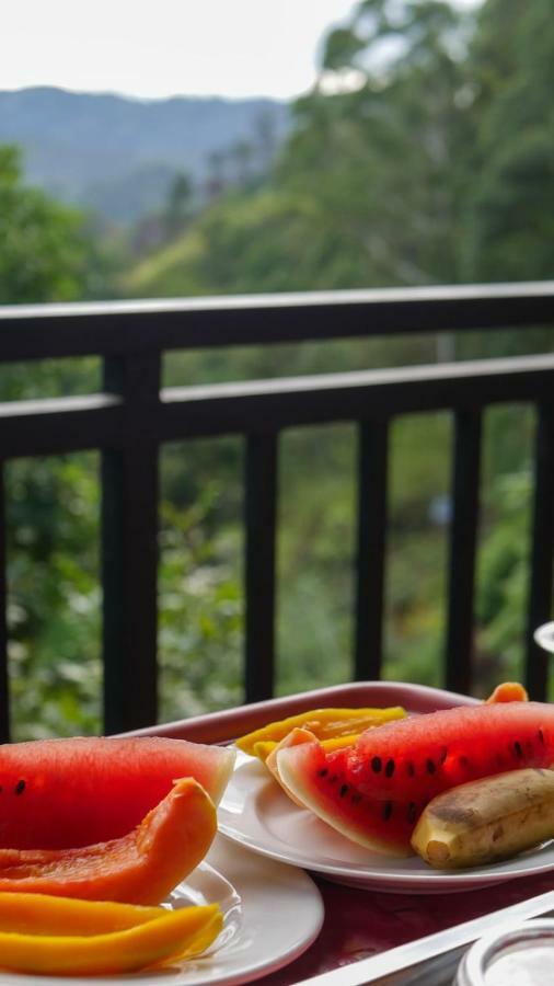 Serene Homestay Ella Extérieur photo